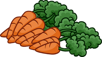 Carrots Club Penguin Wiki Fandom - plant clipart club penguin roblox wikia leaf png roblox