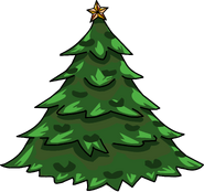 A Christmas tree, which is a pine tree