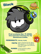 A Black Puffle at a Poster