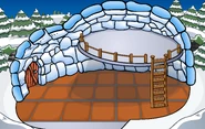The placement of this igloo in a location and flooring in this igloo (non-extended flooring)