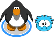 Un Pingüino con un puffle celeste en la carta de jugador