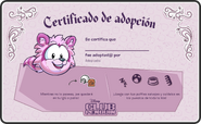 Certificado Mapache Rosa