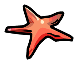 Starfish Pin