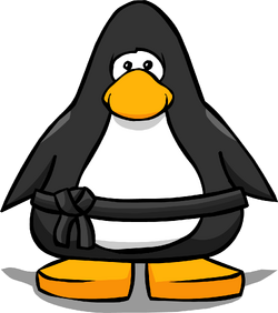 Black Ninja Belt | Club Penguin Wiki | Fandom