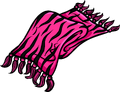 Pink Zebra Scarf