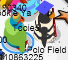 123Kitten1 Polo Field in game