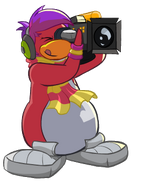 Cadence with a video camera.