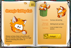 Gato Tabi Laranja, Wiki Club Penguin Brasil