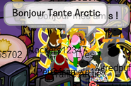 Aunt Arctic, found on French server Jour De Neige in the Awards Show.