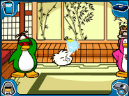 The real white puffle displaying its freezing ability