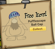 As seen in Rockhopper's Rare Items