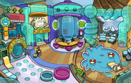 Puffle Party 2013 Puffle Play Zone
