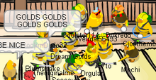 Golds.png