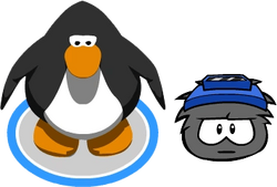 Foguinho, Wiki Club Penguin Brasil