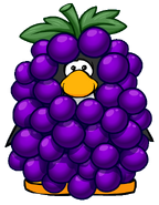 Grape Bunch Costume Player Card