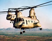 Two Snowing CH-49 "Air Warriors"