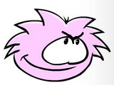 Casey