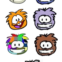Rare Puffles Club Penguin Fan Universe Fandom These are the most majestic puffles of club penguin. rare puffles club penguin fan