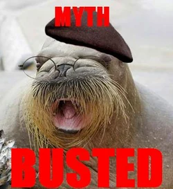 Myth walrus