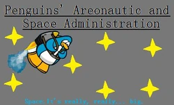 Penguin Space Agency image