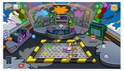 The Roof on Puffle Wednesday