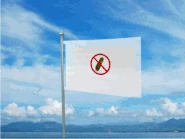 The flag of the Lichenblossom military (land use only).