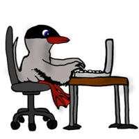 ZapWire with his Laptop