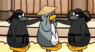 Sensei after Craáin Sensei summoned his ninja pals.