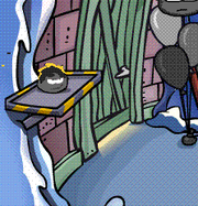 A black puffle over at the Cave
