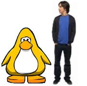  and a typical  comparsion