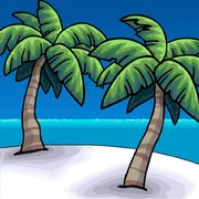 Palm Beach