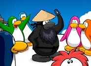 Ninjahopper after a failed attempt to teach Card-Jitsu