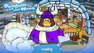 Penguin of the Week #94