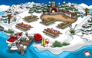 Camp Penguin