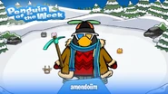 Penguin of the Week #44