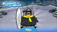 Penguin of the Week #131