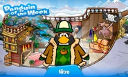 Penguin of the Week #35