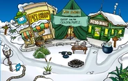 Camp Penguin