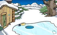 With the Frog Pin