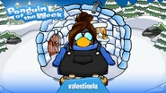 Penguin of the Week #113