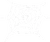 Spider Web