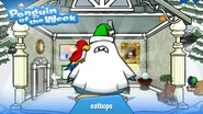 Penguin of the Week #96