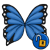 Blue Butterfly Wings