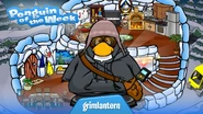 Penguin of the Week #108