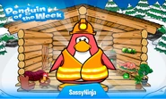Penguin of the Week #39