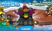 Penguin of the Week #32
