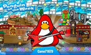 Penguin of the Week #38