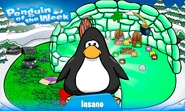 Penguin of the Week #10