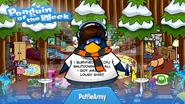 Penguin of the Week #82