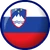 Slovenia Flag